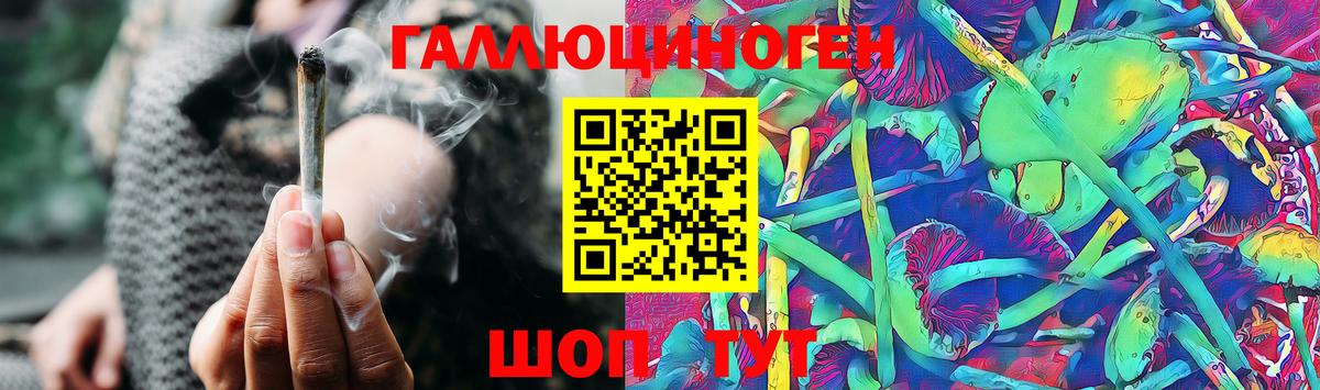 Галлюциногенные грибы GOLDEN TEACHER  Вход с VPN  Медногорск 