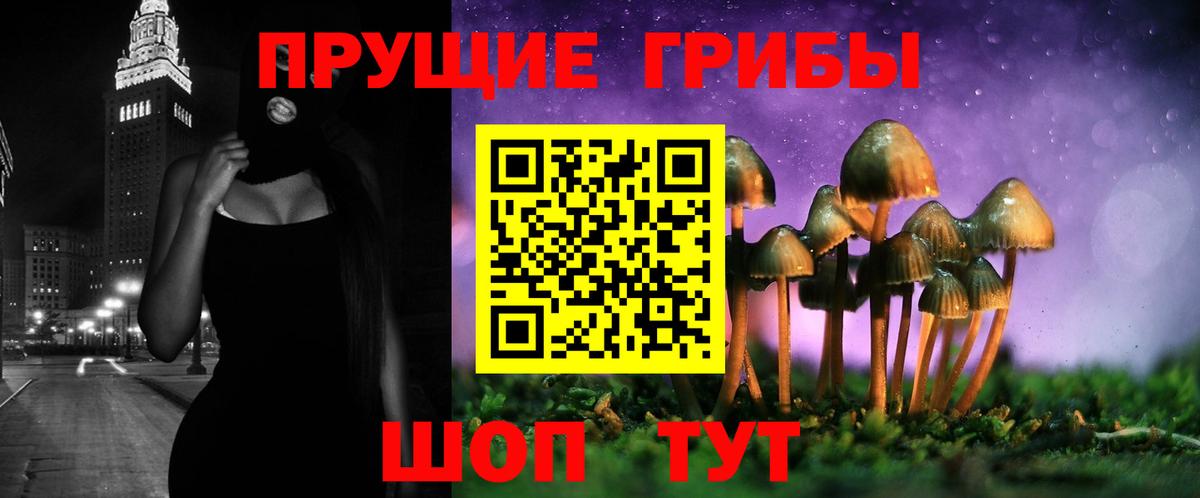 Галлюциногенные грибы Magic Shrooms Медногорск