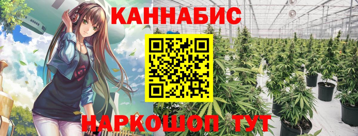 Бошки марихуана план  Марихуана Ganja  Медногорск  Вход с VPN 